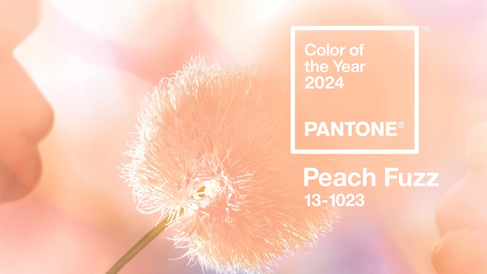 Pantone's Peach Fuzz: A 2024 Home Décor Essential
