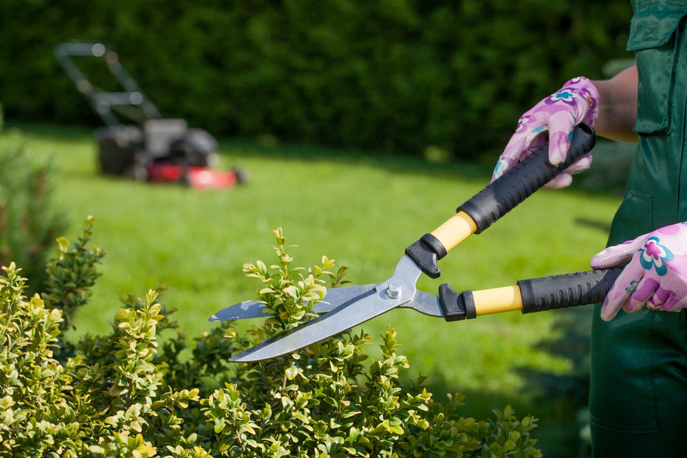 Spring Yard Prep: 8 Essential Tips for Your Home Exterior